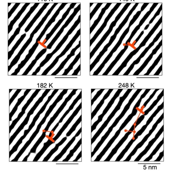 Research Image